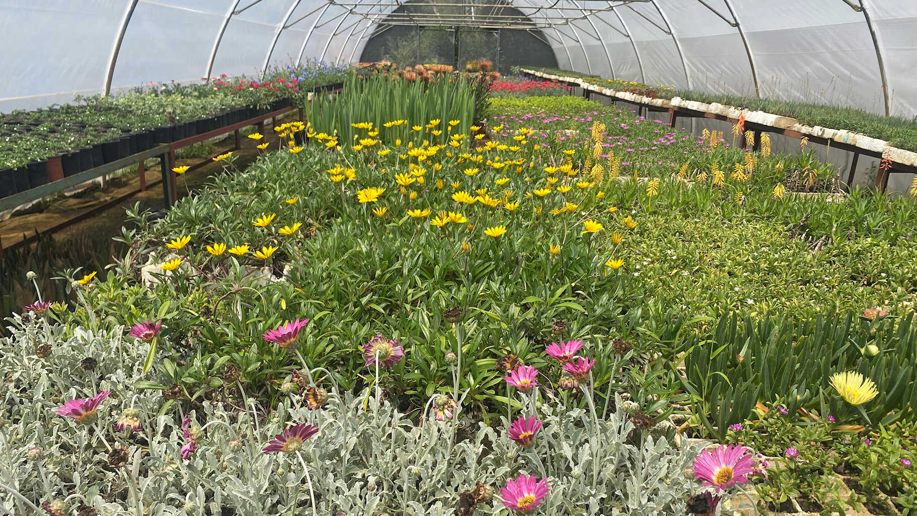 Nursery tunnel